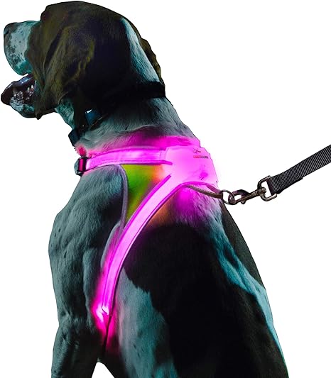 Noxgear LightHound LED Dog Vest