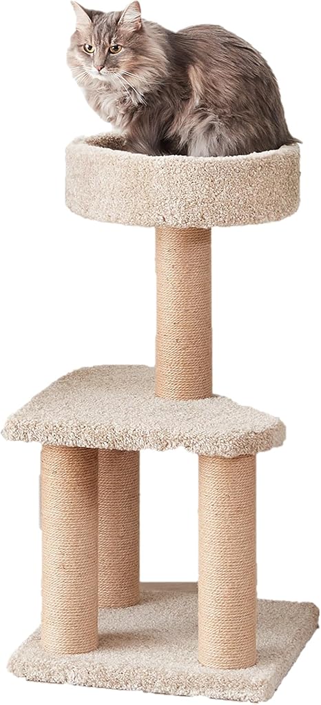 Amazon Basics Multi-Level Cat Tree