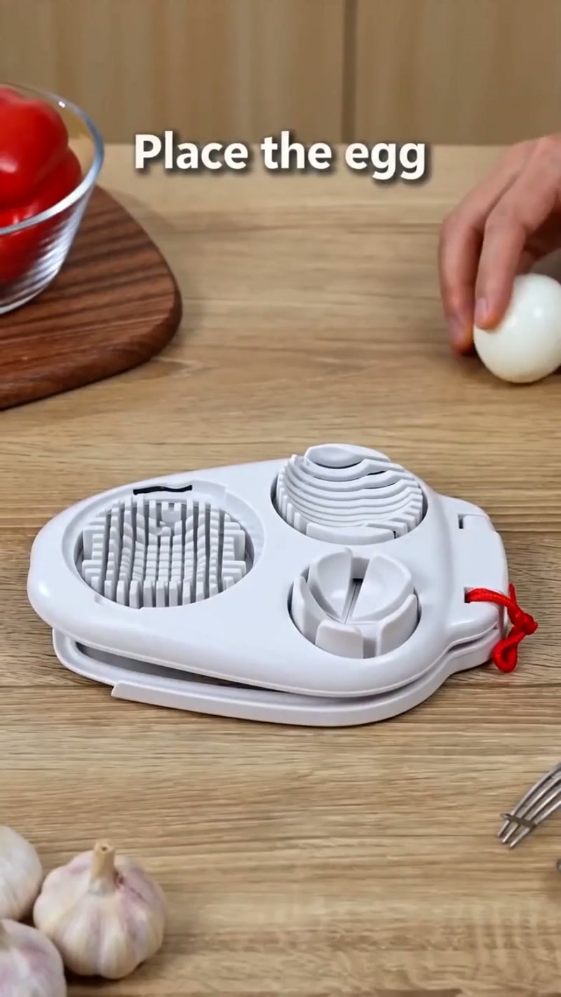 Place the egg, close the lid — done