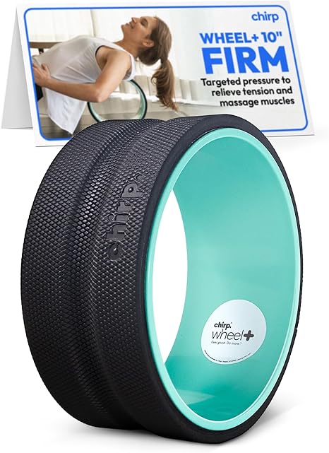 Chirp Wheel Back Roller